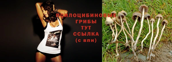 марки nbome Абаза
